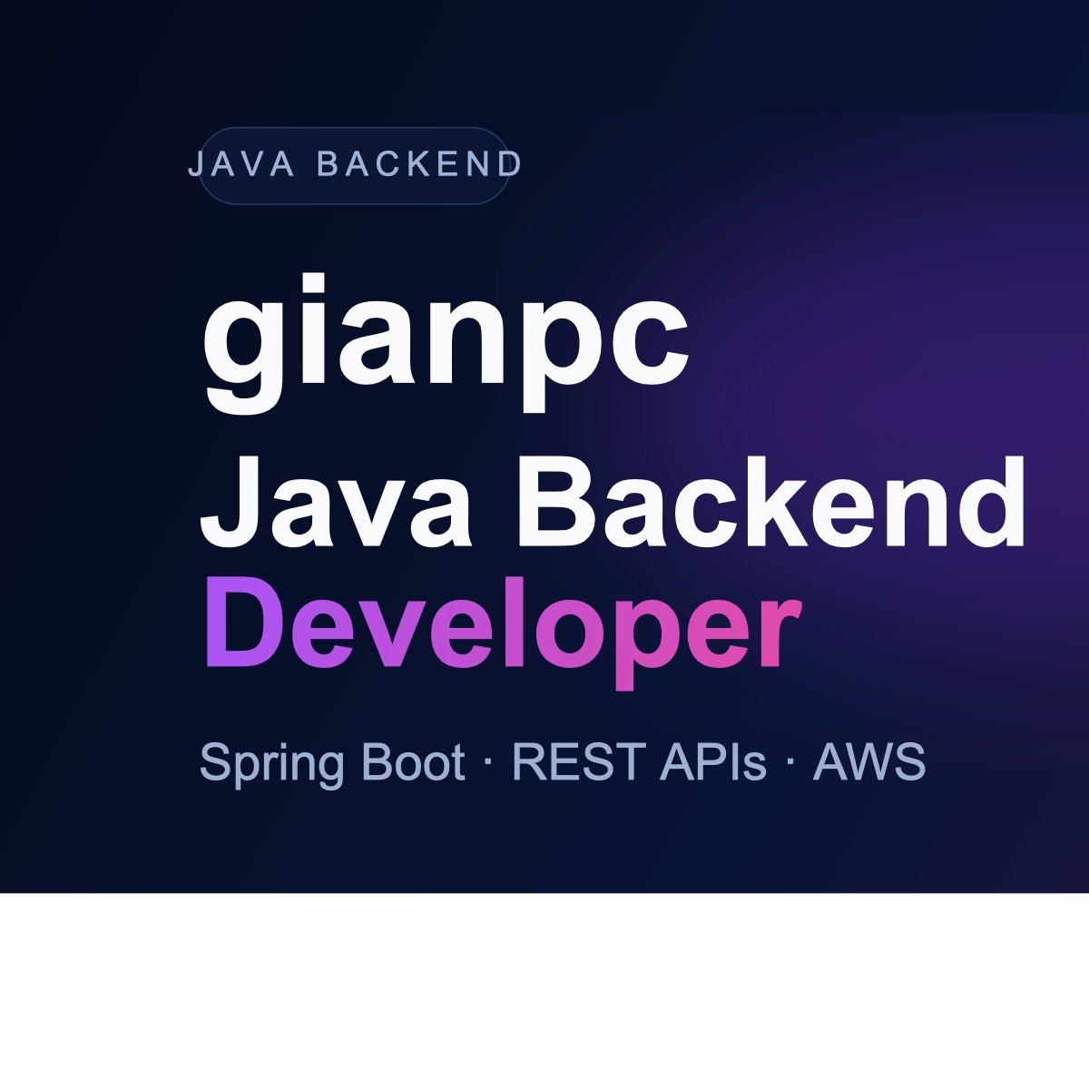 Software Developer
